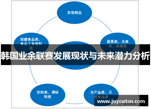 韩国业余联赛发展现状与未来潜力分析